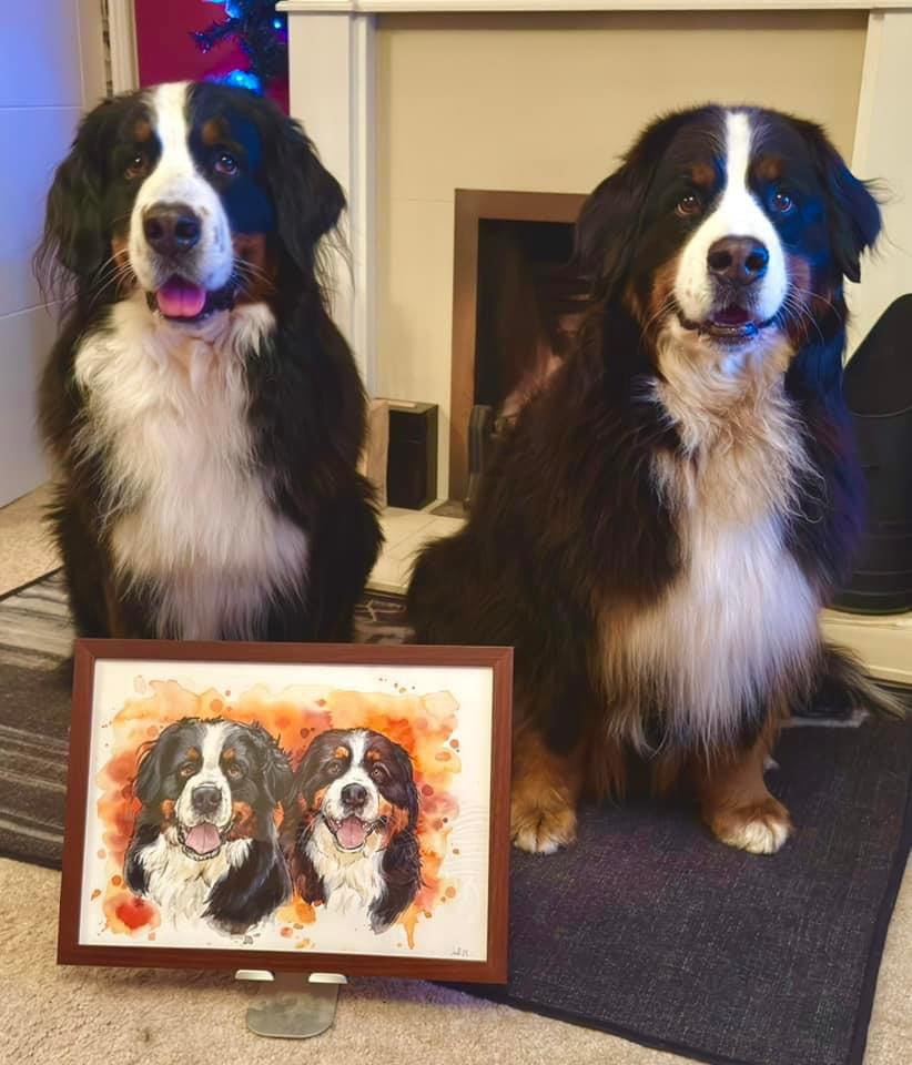 bernese mountain dogs with watercolour pet portrait