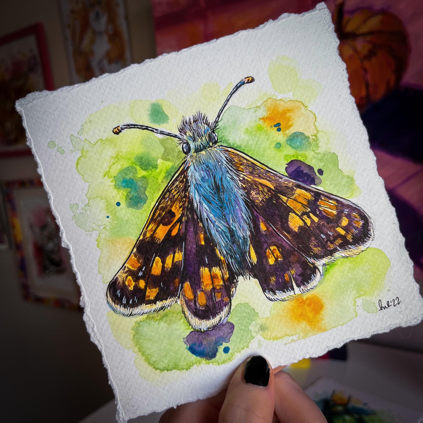 Colourful Moth Moth Watercolour Painting - Clarice