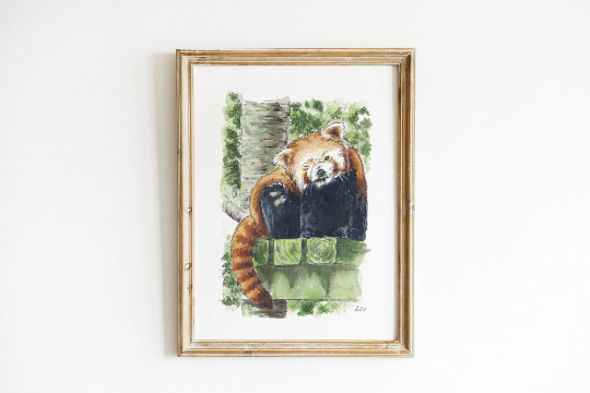 Red Panda Head Scratch Art Print Pre-order