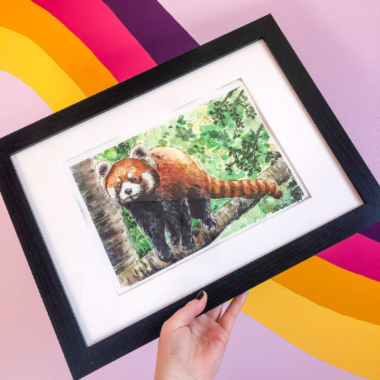 Red Panda Climbing Original Watercolour Painting