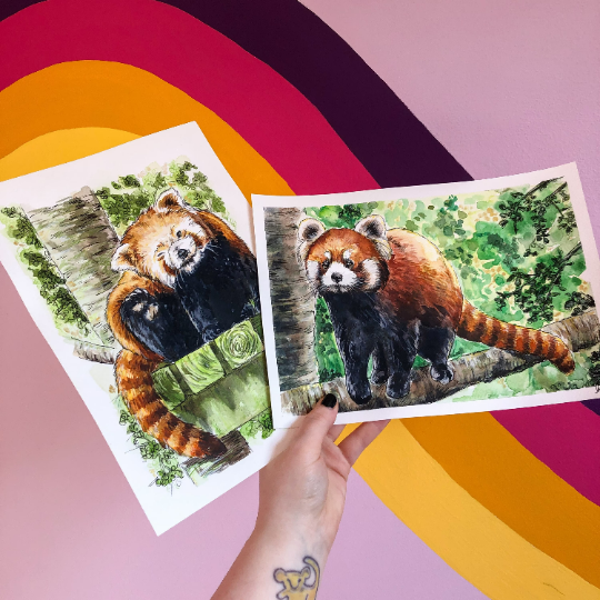 Red Panda Climbing Original Watercolour Painting