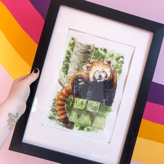 Red Panda Head Scratch Original Watercolour Painting