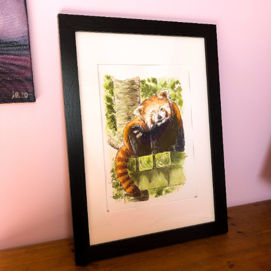 Red Panda Head Scratch Original Watercolour Painting
