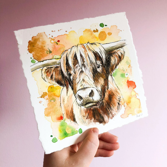 Sunny Highland Cow Original Watercolour Painting