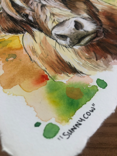 Sunny Highland Cow Original Watercolour Painting