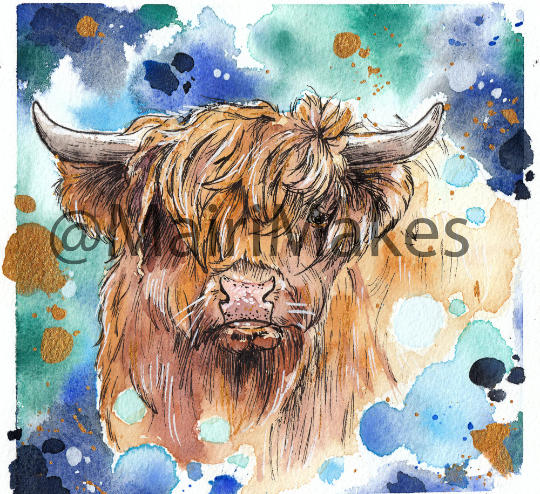 Windswept Highland Cow Art Print