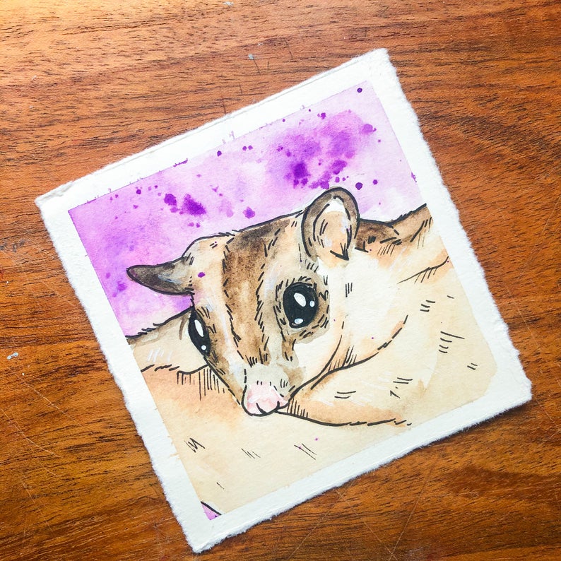 Sugar Glider Watercolour Painting