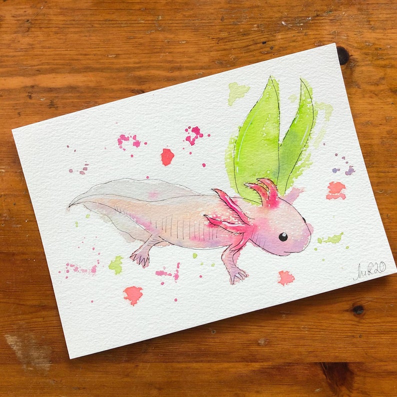 Axolotl Watercolour Splatter Painting