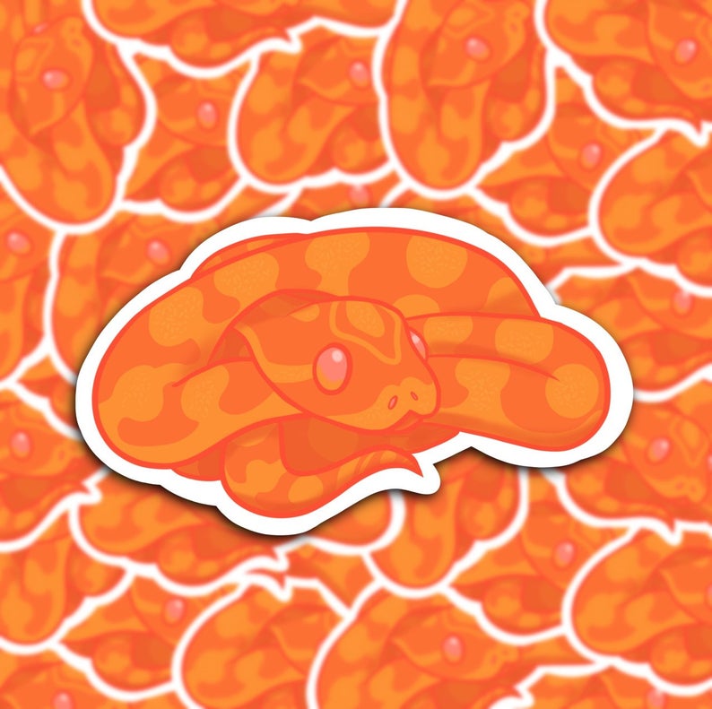 Baby Cornsnake Sticker