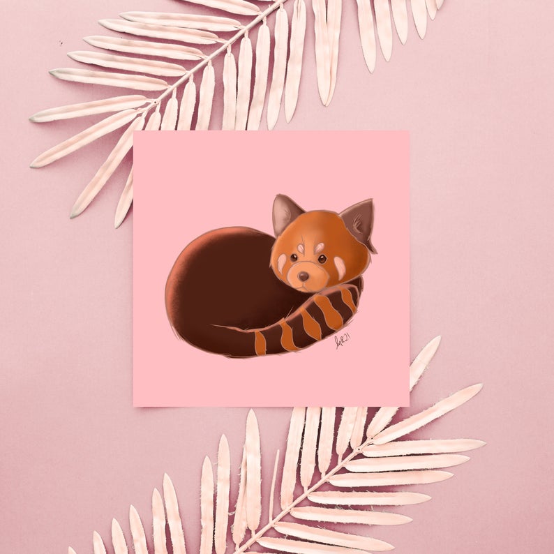 Baby Red Panda Art Print