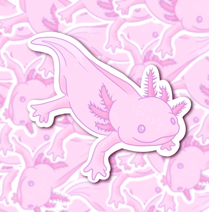 25pc Animal Sticker Pack