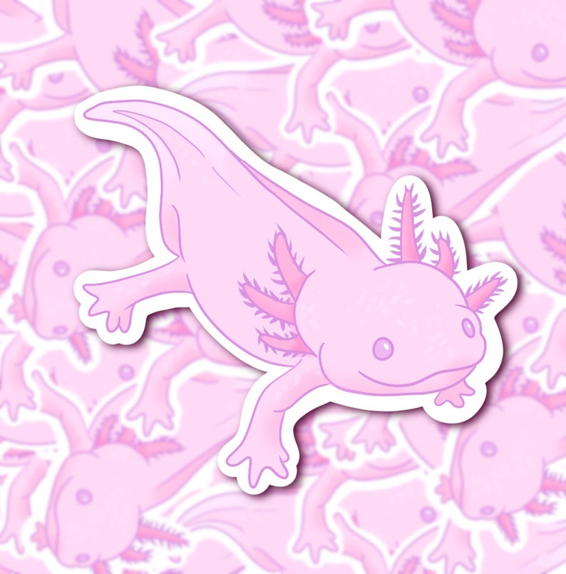 Mystery Animal Sticker Bundle