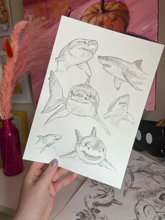 Shark sketch bundle A4 x2