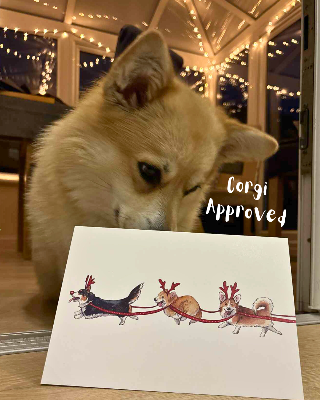 Corgi Sleigh Dogs Christmas Card - A5