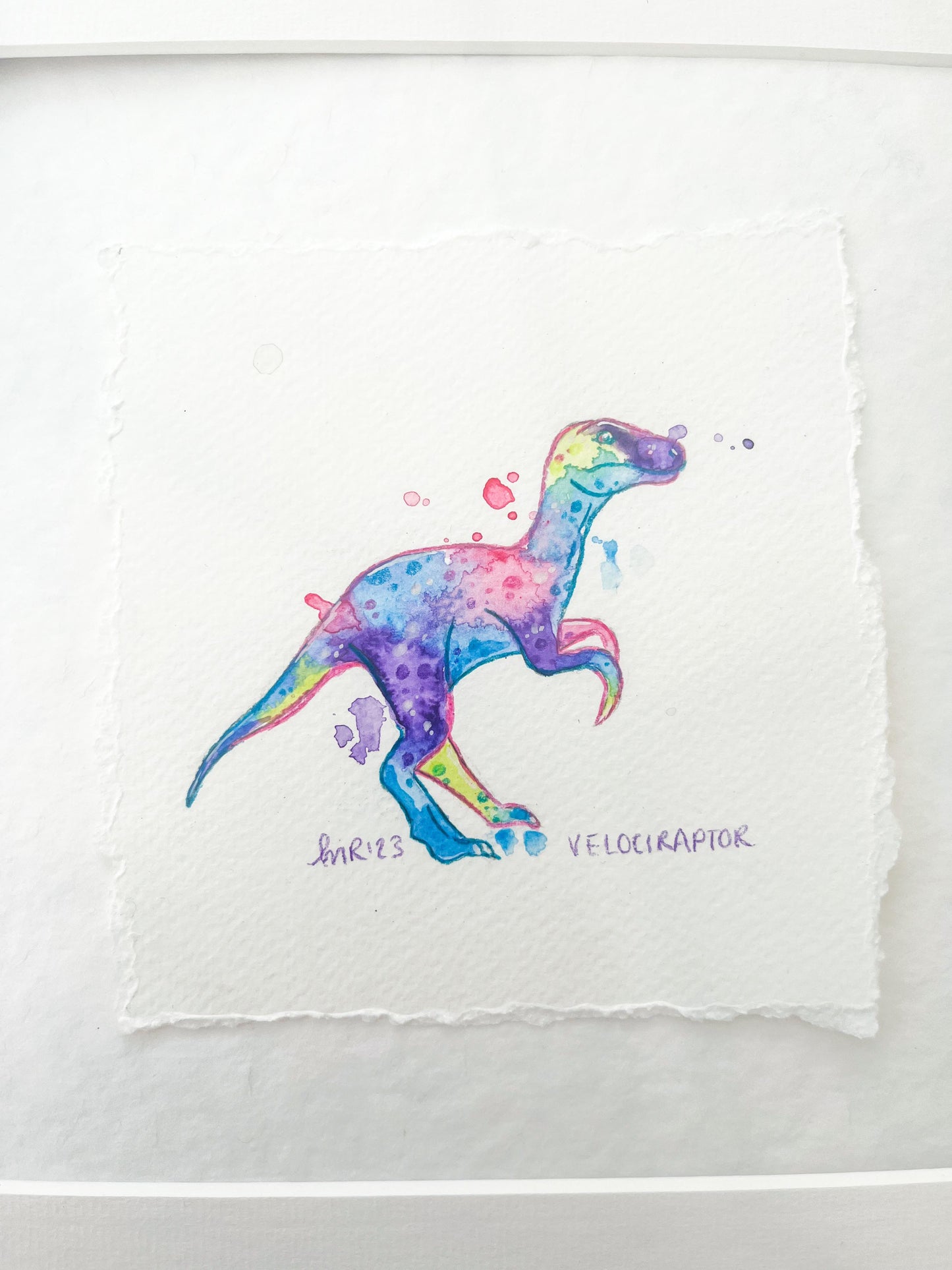 Raptor Rainbow Tie Dye Watercolour Painting