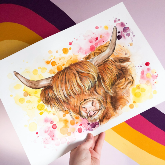 Orange and Pink Highland Cow Art Print