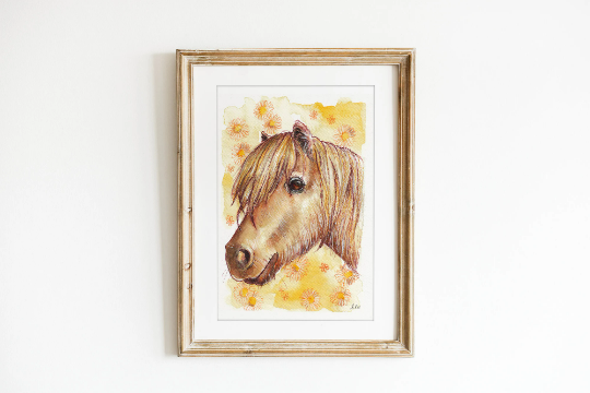 Daisy - Shetland Pony Art Print