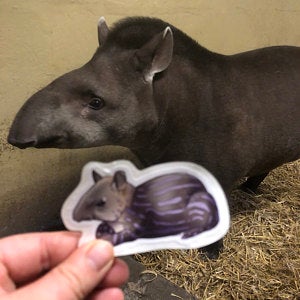 Mystery Animal Sticker Bundle