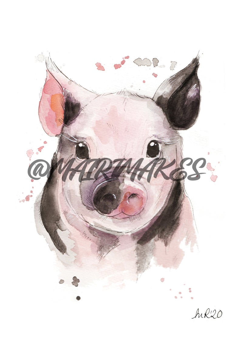 Baby Pig Watercolour Art Print