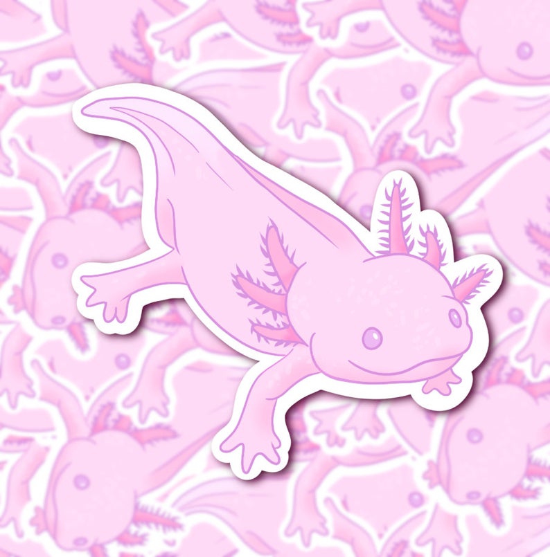 Pink Axolotl Sticker