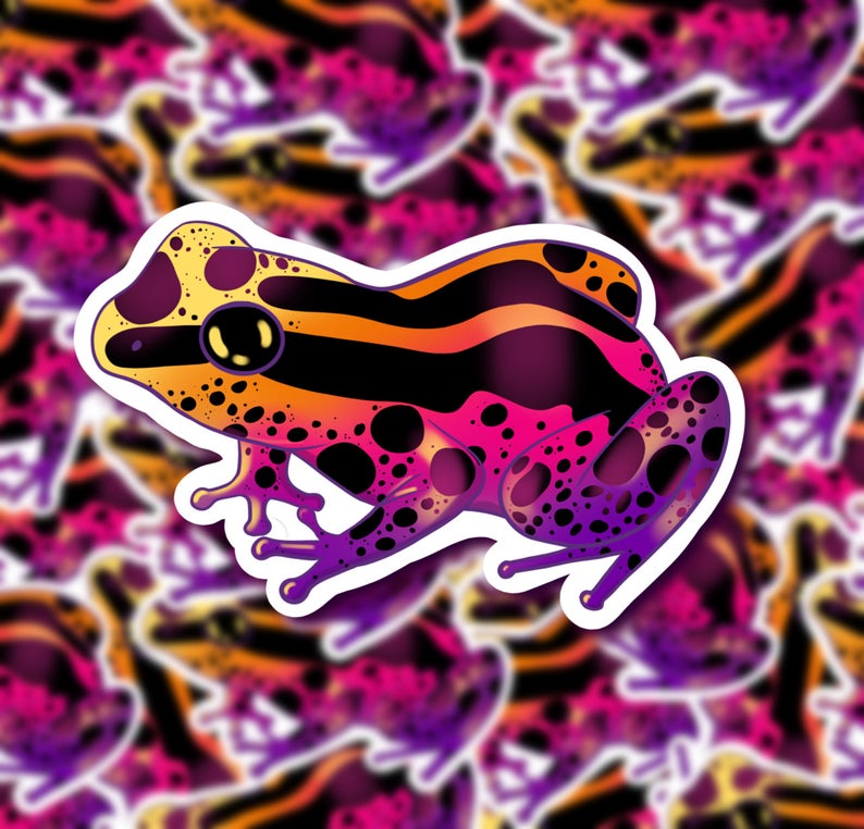 Rainbow Dart Frog Sticker