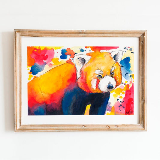 Red Panda Watercolour Art Print