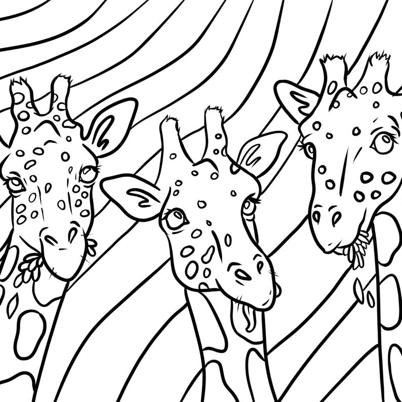 Animal Colouring and Activity Book
