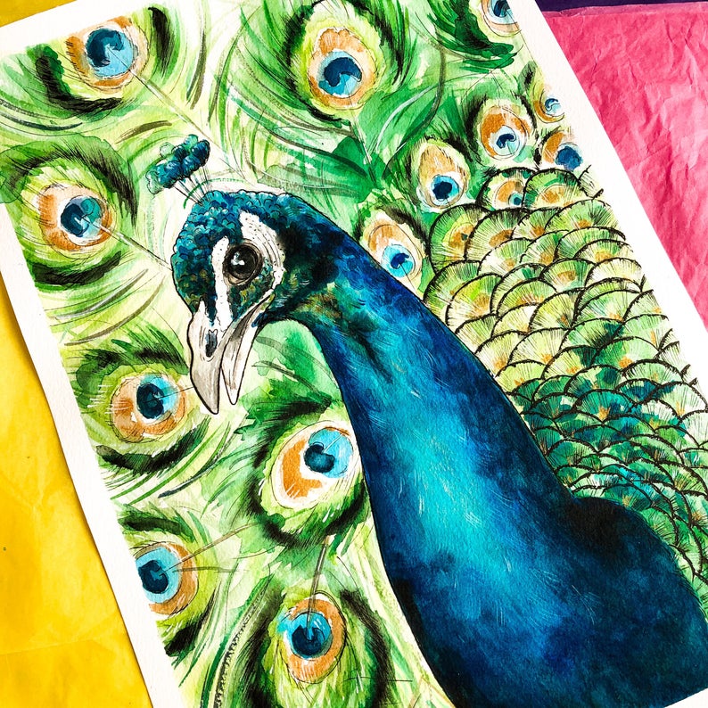 Peacock Watercolour Painting