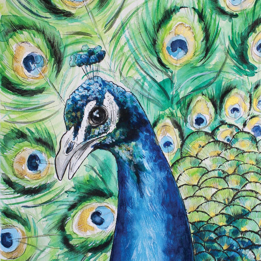 Peacock Watercolour Art Print