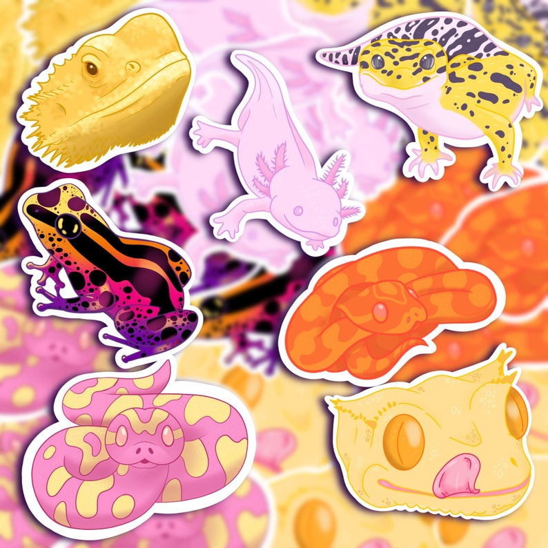 Mystery Animal Sticker Bundle