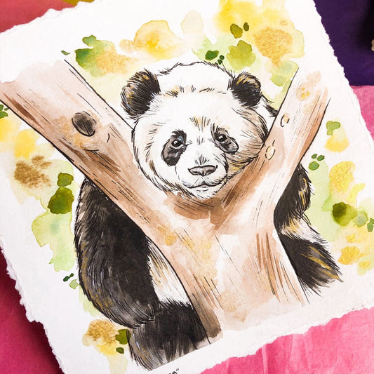 Giant Panda Watercolour Painting
