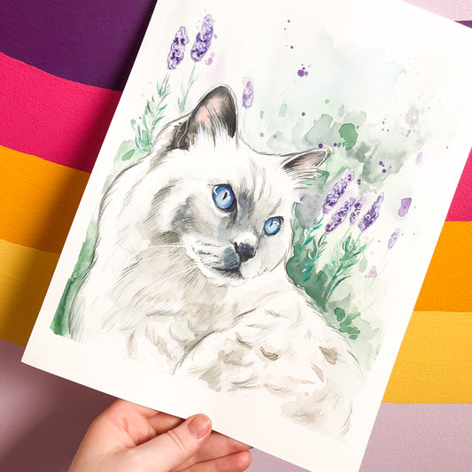 Ragdoll Cat Watercolour Painting